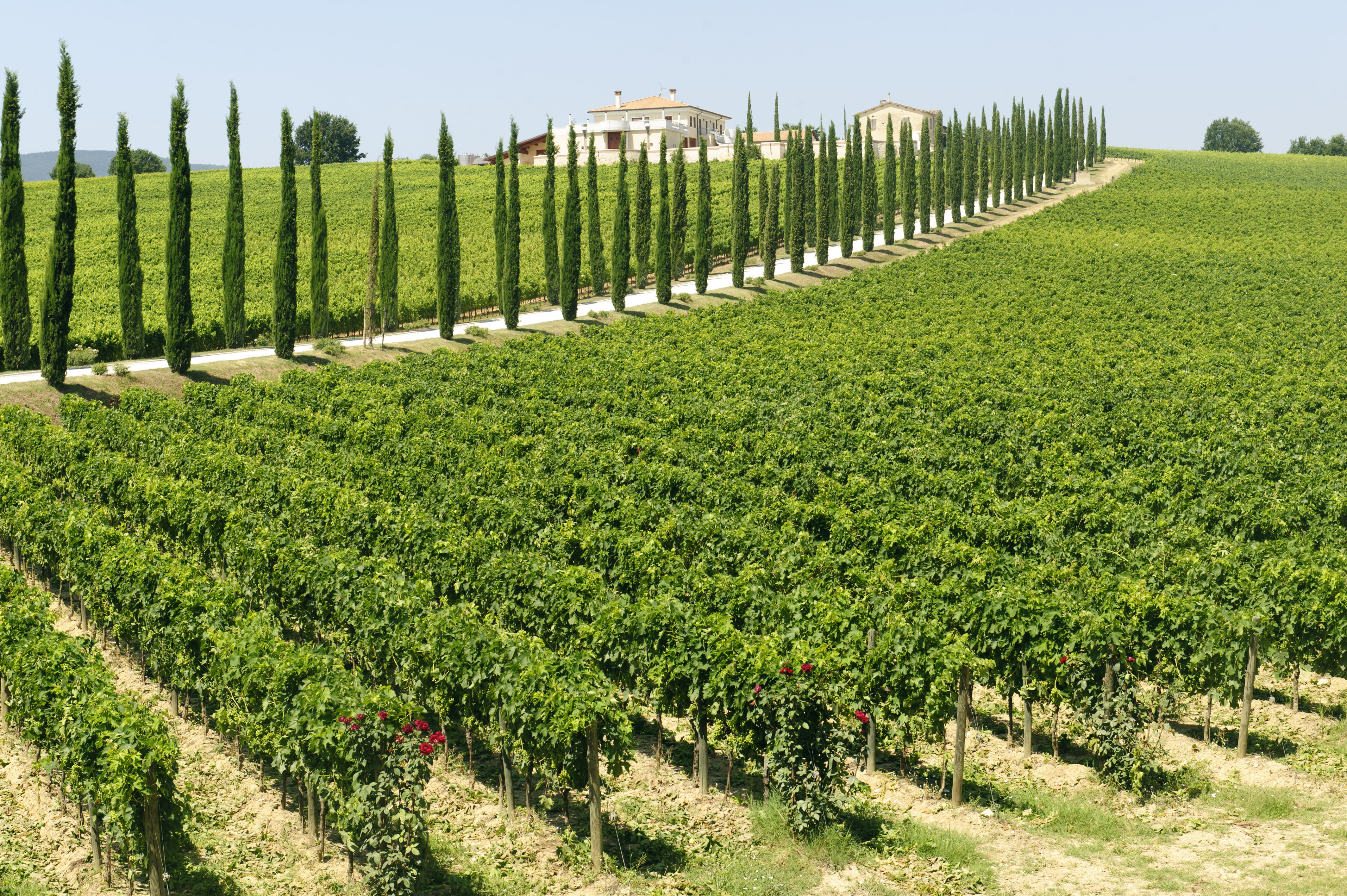 Umbria | Orvieto - Perugia - Spoleto - Todi